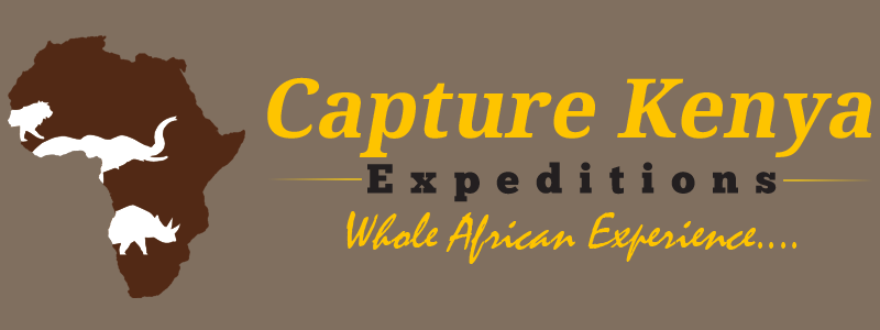 capture-kenya-whole-african-experience