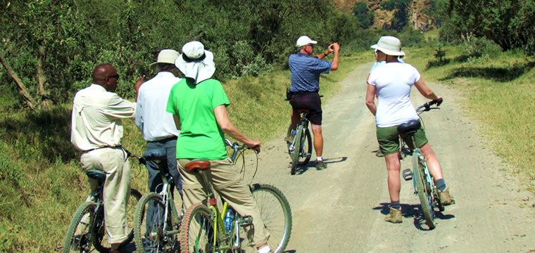 Visitors cycling as an eco-friendly Safari Activity