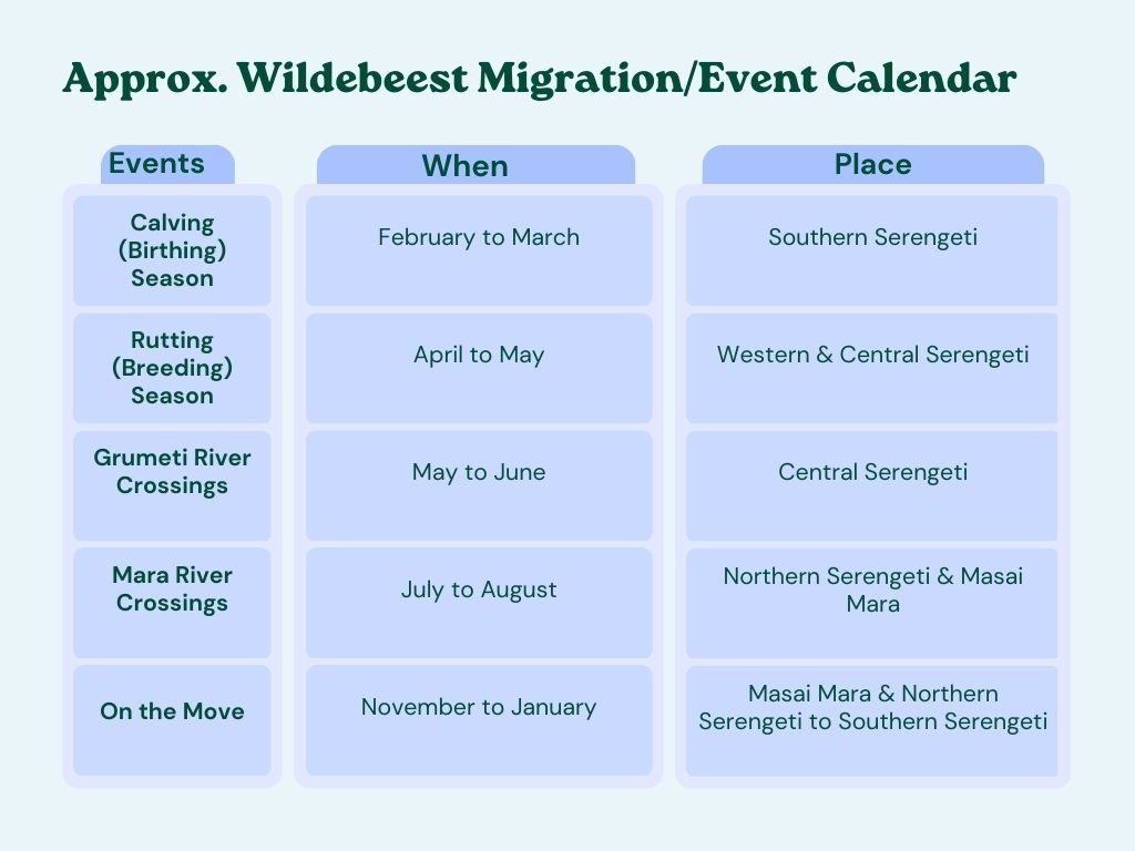 A table showing the migration dates and events of the wildebeest migration